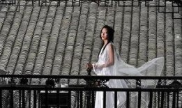 婢女情史在线观看,穿越时空的悲欢离合